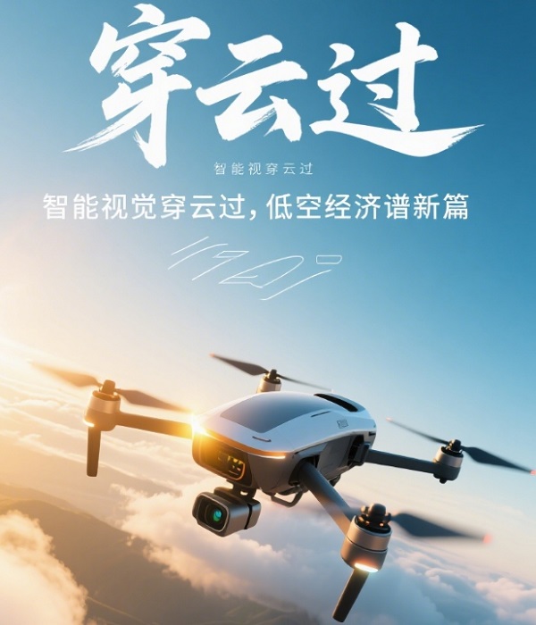 AI低空經(jīng)濟(jì)解決方案